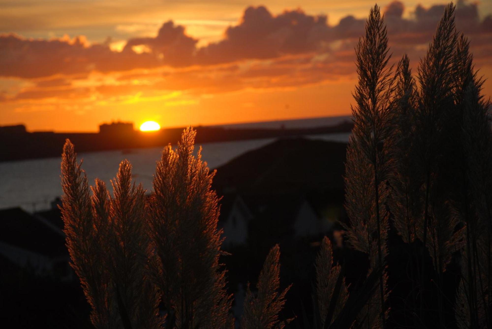 The Whipsiderry Hotel New Quay エクステリア 写真