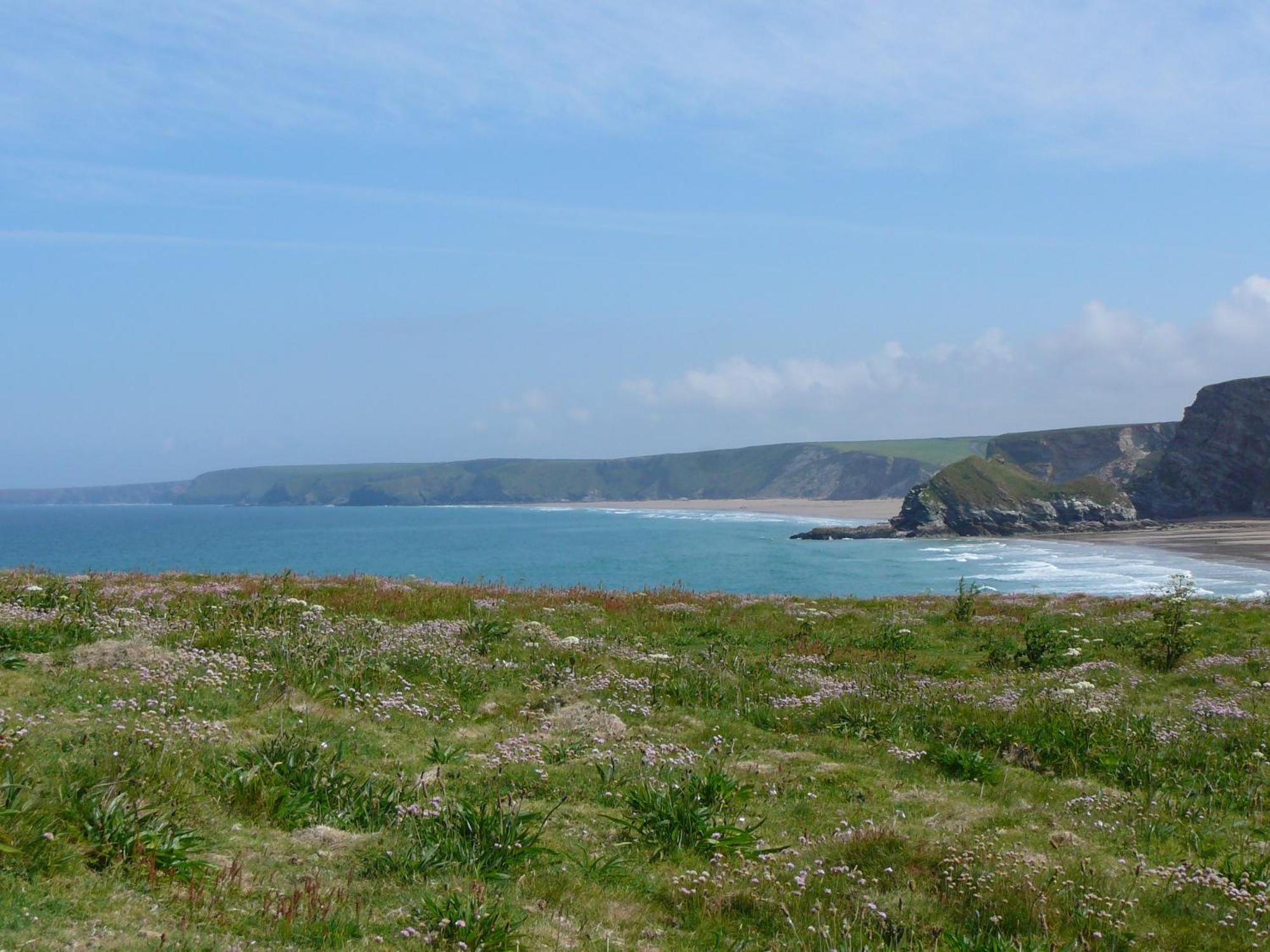 The Whipsiderry Hotel New Quay エクステリア 写真
