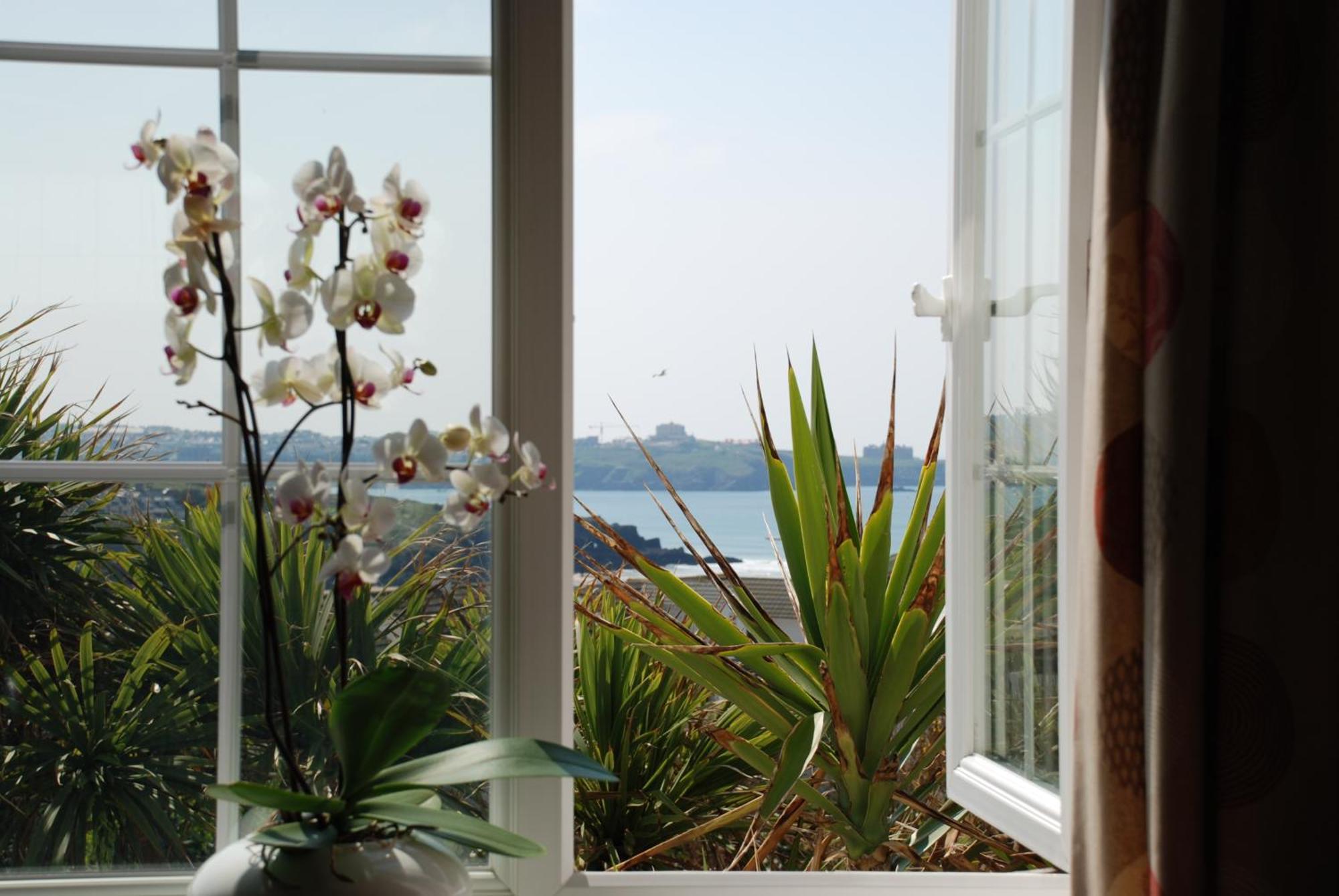 The Whipsiderry Hotel New Quay エクステリア 写真