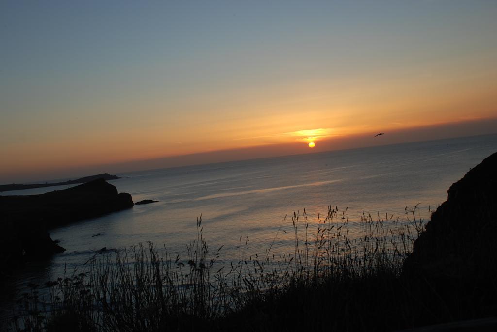 The Whipsiderry Hotel New Quay エクステリア 写真