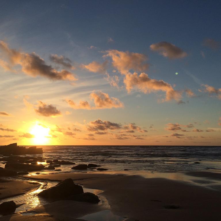 The Whipsiderry Hotel New Quay エクステリア 写真