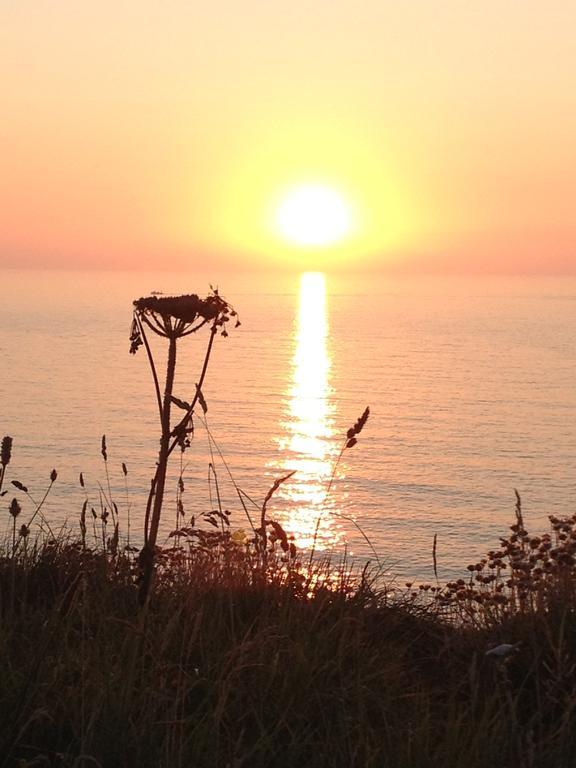 The Whipsiderry Hotel New Quay エクステリア 写真