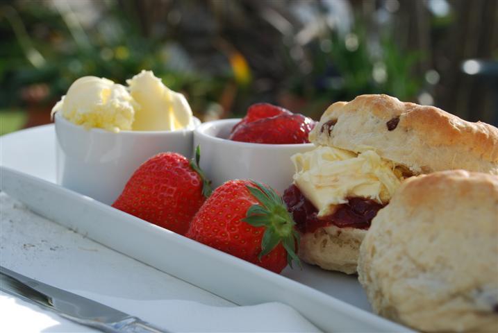 The Whipsiderry Hotel New Quay エクステリア 写真